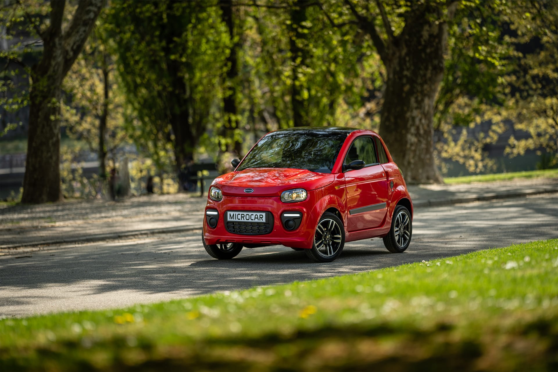 Minicar Ligier & Microcar - Corte